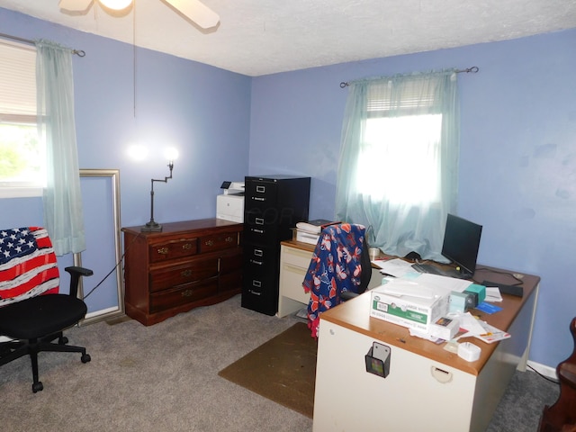 21800 State Route 47, West Mansfield, OH 43358 - office space featuring carpet floors and a ceiling fan