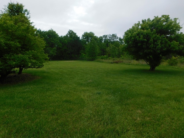 21800 State Route 47, West Mansfield, OH 43358 - view of green lawn