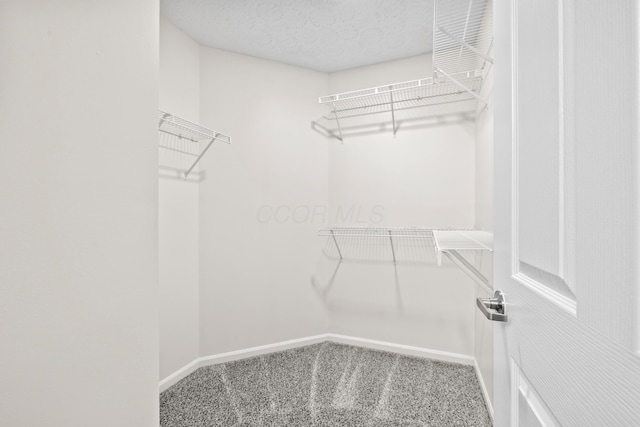 143 Falls Peak Ln, Delaware, OH 43015 - walk in closet with carpet flooring
