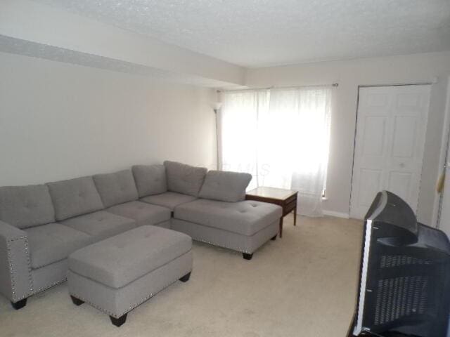 1022 Galliton Ct Unit C, Columbus, OH 43220 - living room with light carpet