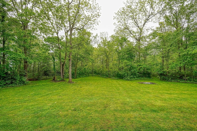 1494 Old Carriage Ct, Canal Winchester, OH 43110 - view of grassy yard with a view of trees
