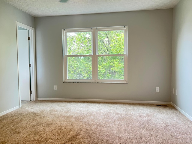 507 Warwick Ln, Pickerington, OH 43147 - carpeted spare room featuring plenty of natural light, baseboards, and a textured ceiling