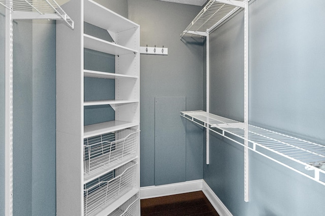 8699 Lazelle Commons Dr, Lewis Center, OH 43035 - spacious closet with dark wood finished floors