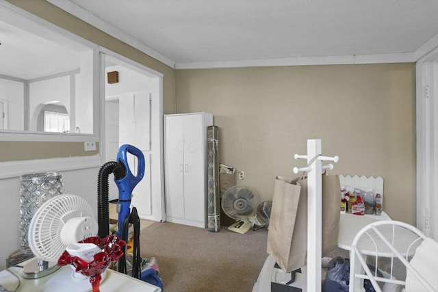 936 Washington Ave, Lancaster, OH 43130 - interior space featuring carpet flooring