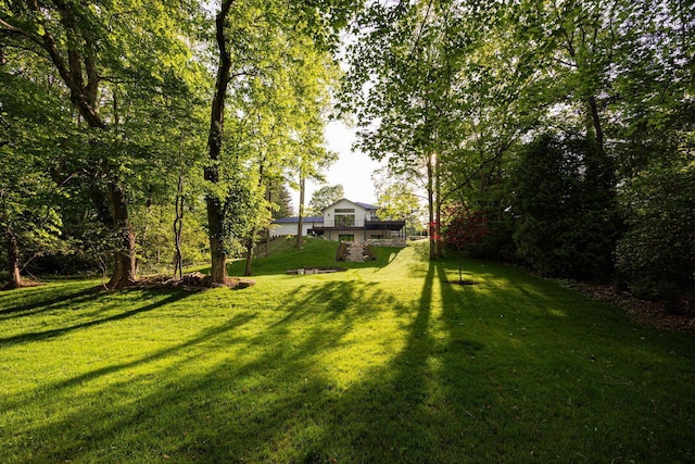 8159 Riverside Dr, Powell, OH 43065 - view of green lawn