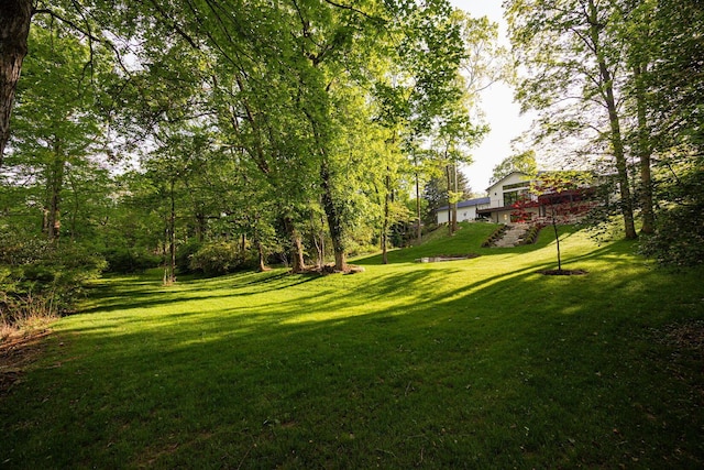 8159 Riverside Dr, Powell, OH 43065 - view of green lawn