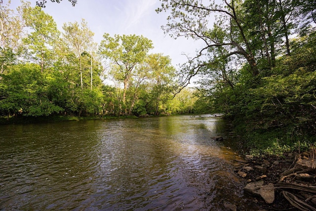 8159 Riverside Dr, Powell, OH 43065 - water view with a forest