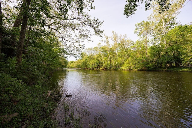 8159 Riverside Dr, Powell, OH 43065 - water view featuring a heavily wooded area