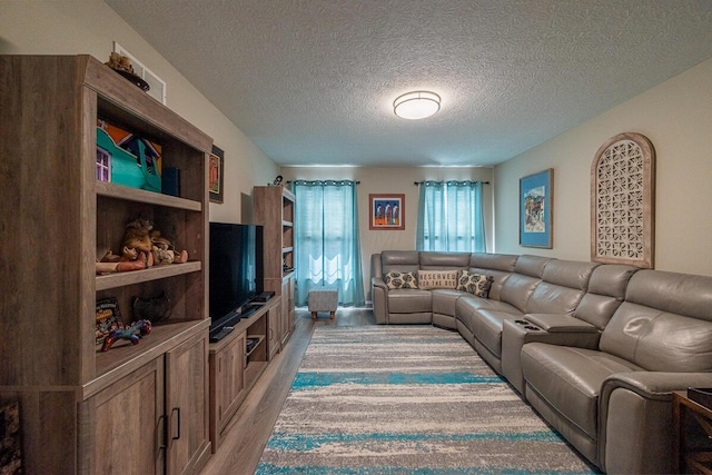 10641 Arrowwood Dr, Plain City, OH 43064 - living area featuring light wood-style floors and a textured ceiling