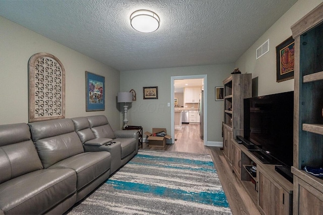 10641 Arrowwood Dr, Plain City, OH 43064 - living room featuring light wood finished floors and a textured ceiling