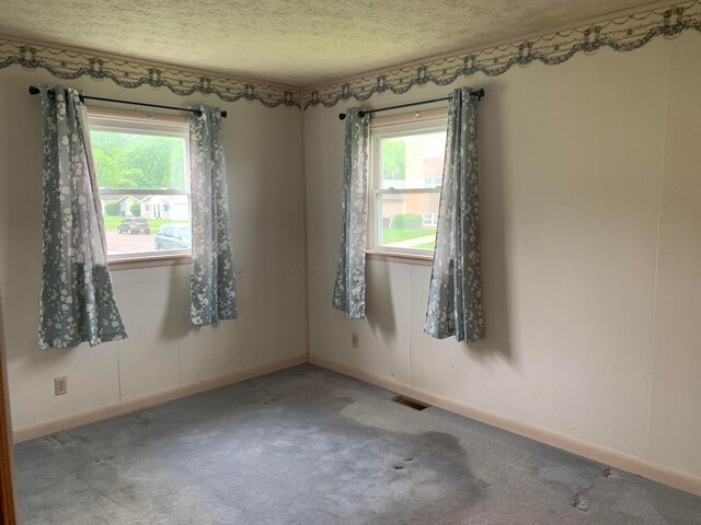 101 Gale Ct, Circleville, OH 43113 - carpeted spare room featuring a textured ceiling and baseboards