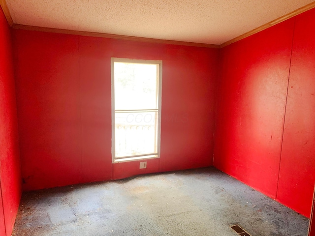 12047 Beech Trl, Hillsboro, OH 45133 - unfurnished room featuring healthy amount of natural light, ornamental molding, a textured ceiling, and carpet