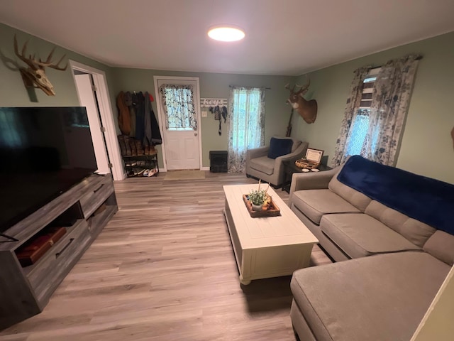 1119 Poplar St, Nelsonville, OH 45764 - living area featuring light wood-type flooring