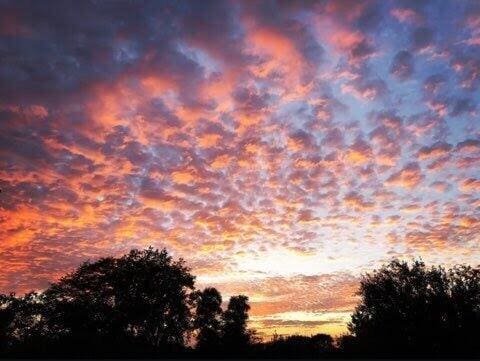 7700 State Route 61, Sunbury, OH 43074 - view of nature at dusk