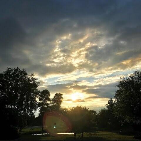 7700 State Route 61, Sunbury, OH 43074 - view of nature at dusk