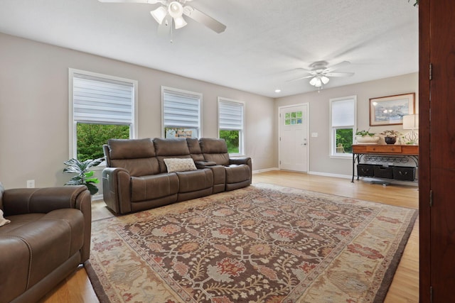 7700 State Route 61, Sunbury, OH 43074 - living area featuring a ceiling fan, healthy amount of natural light, and light wood finished floors