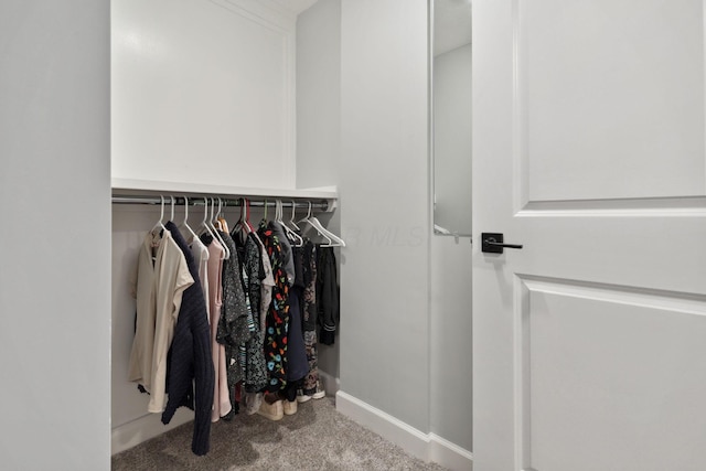 7700 State Route 61, Sunbury, OH 43074 - walk in closet with carpet floors