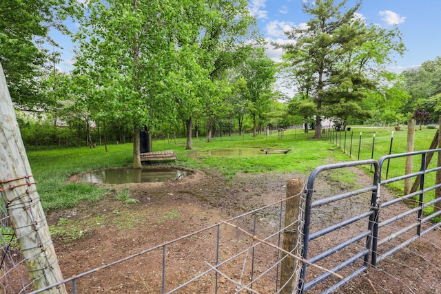 7700 State Route 61, Sunbury, OH 43074 - view of yard