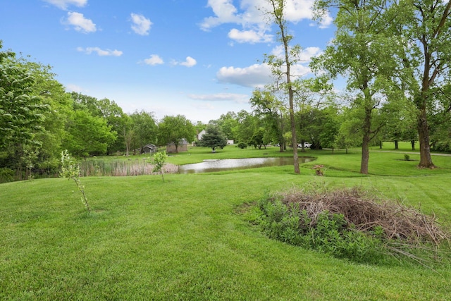 7700 State Route 61, Sunbury, OH 43074 - view of green lawn with a water view
