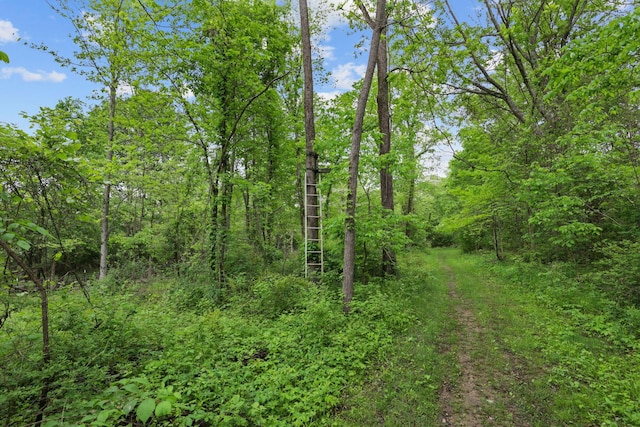 7700 State Route 61, Sunbury, OH 43074 - view of wooded area