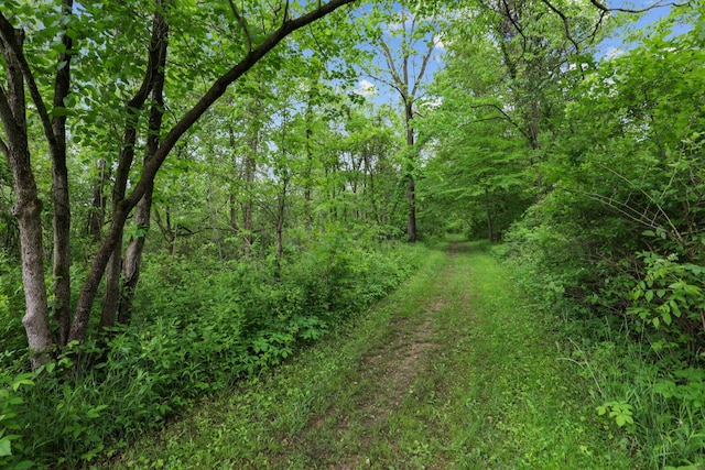 7700 State Route 61, Sunbury, OH 43074 - view of tree filled area