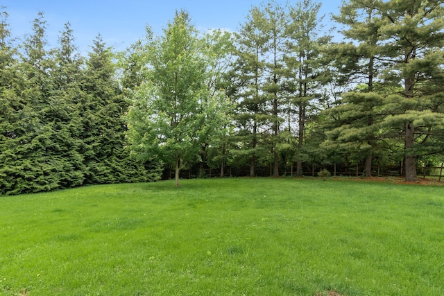 9502 Concord Rd, Powell, OH 43065 - photo 33