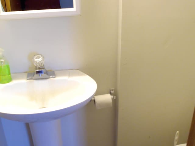 474 Chestnut St, Nelsonville, OH 45764 - photo 22