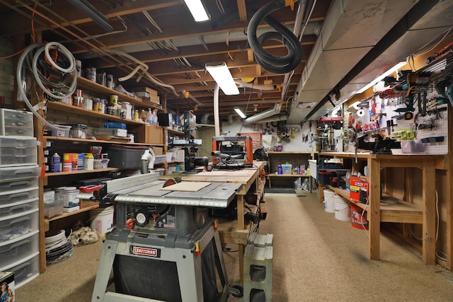 4359 Shire Cove Rd, Hilliard, OH 43026 - unfinished below grade area featuring a workshop area and carpet