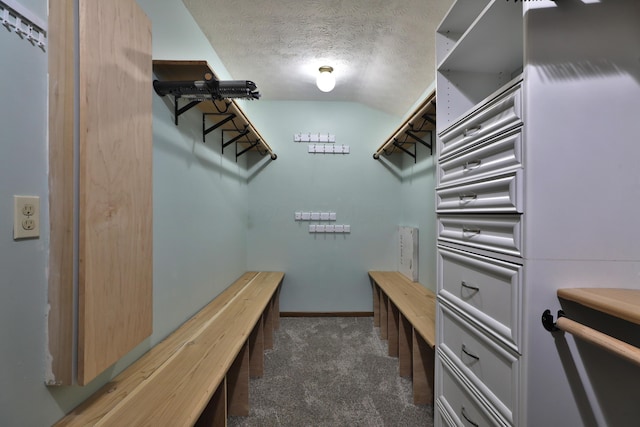 4359 Shire Cove Rd, Hilliard, OH 43026 - walk in closet featuring dark carpet and lofted ceiling