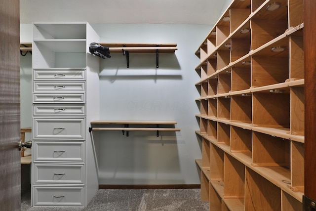 4359 Shire Cove Rd, Hilliard, OH 43026 - walk in closet with dark colored carpet