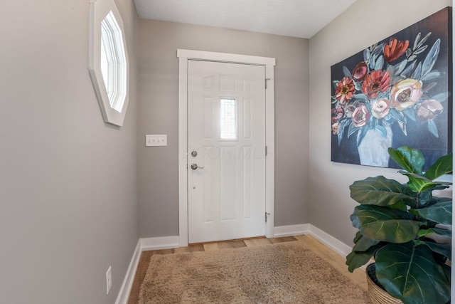 107 Willows End, Bellefontaine, OH 43311 - foyer entrance with baseboards, light wood-style floors, and plenty of natural light