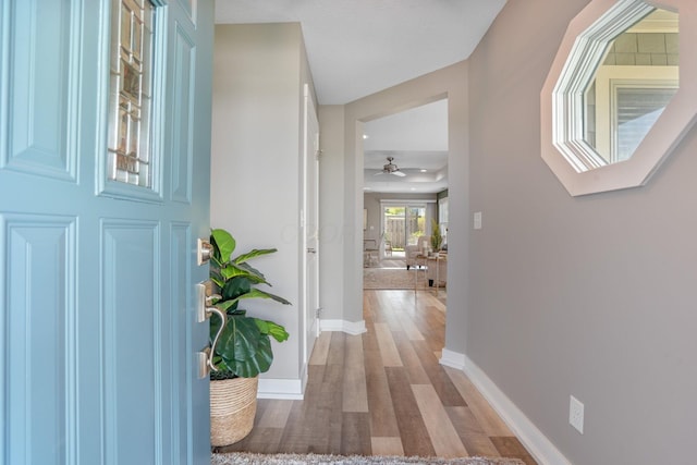 107 Willows End, Bellefontaine, OH 43311 - entrance foyer with light wood finished floors, baseboards, and a ceiling fan
