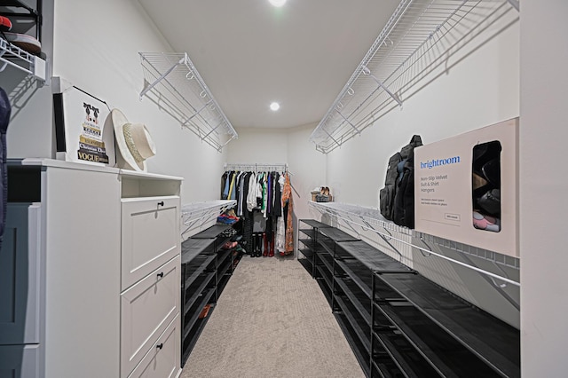 2733 Sycamore Trce, Hilliard, OH 43026 - spacious closet with carpet flooring