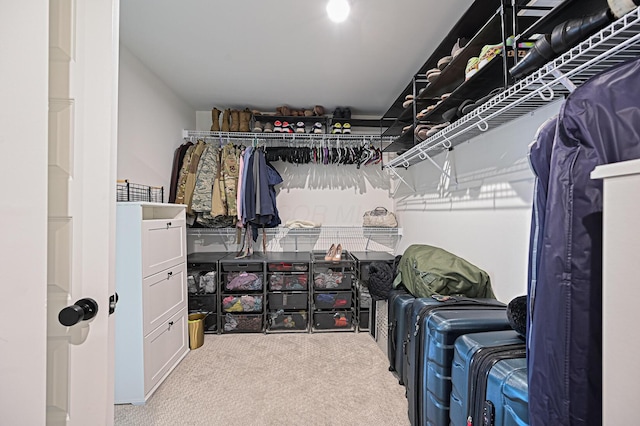 2733 Sycamore Trce, Hilliard, OH 43026 - walk in closet with carpet
