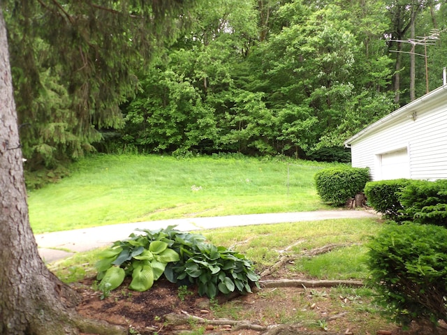 938 Meadowview Ave, Lancaster, OH 43130 - view of green lawn