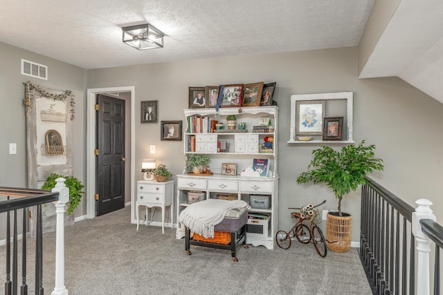 4561 Bent Creek Pl, Grove City, OH 43123 - living area with carpet and a textured ceiling