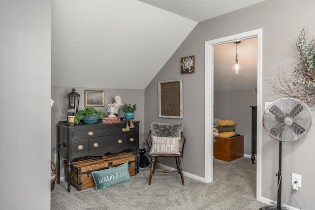 4561 Bent Creek Pl, Grove City, OH 43123 - sitting room featuring carpet, lofted ceiling, a textured ceiling, and baseboards