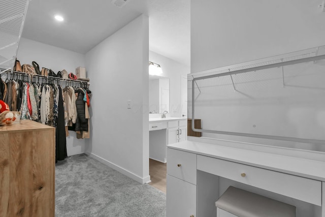 5384 Coble Meadows Ln, Canal Winchester, OH 43110 - walk in closet featuring light carpet and a sink