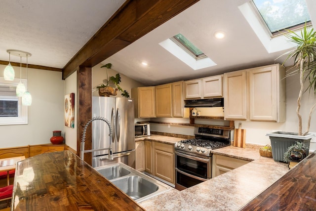 796 Mulberry Dr, Columbus, OH 43235 - kitchen with appliances with stainless steel finishes, under cabinet range hood, a skylight, wooden counters, and a sink