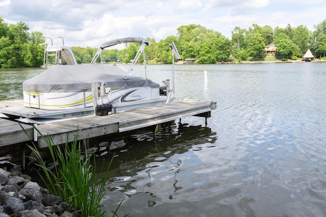 7326 State Route 19 Unit 9, Lot 297, Mount Gilead, OH 43338 - dock with a water view and boat lift