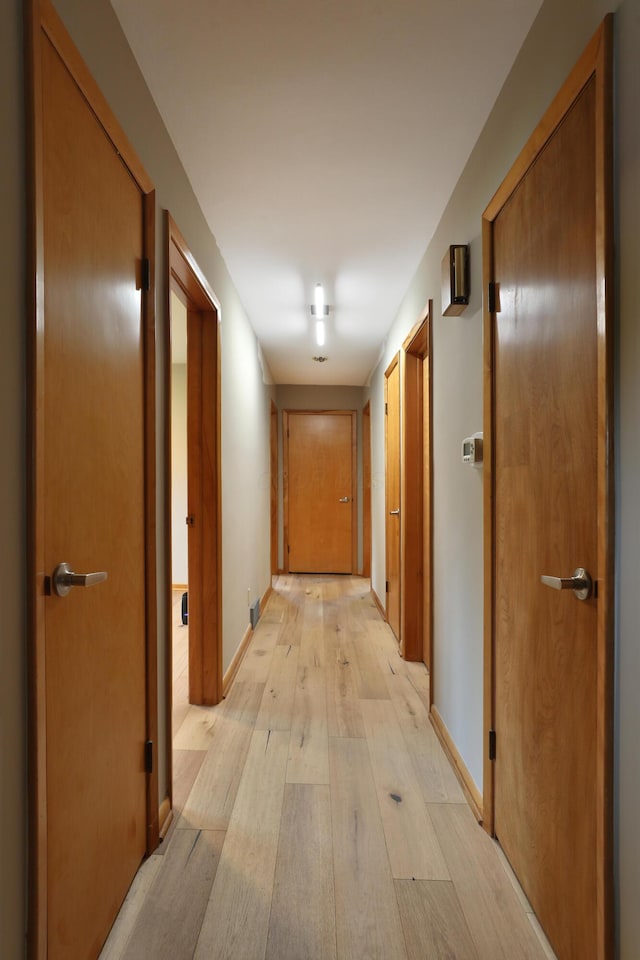 465 W Schrock Rd, Westerville, OH 43081 - corridor with light wood finished floors and baseboards