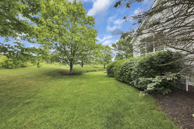 8708 Belworth Sq, New Albany, OH 43054 - view of green lawn