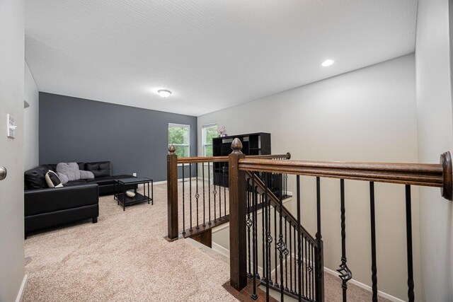 7901 Champaign Dr, Blacklick, OH 43004 - photo 25