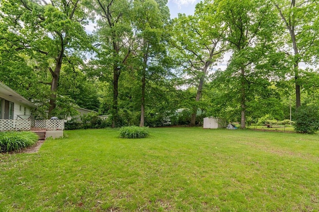 815 Irvin Shoots Rd E, Marion, OH 43302 - view of grassy yard
