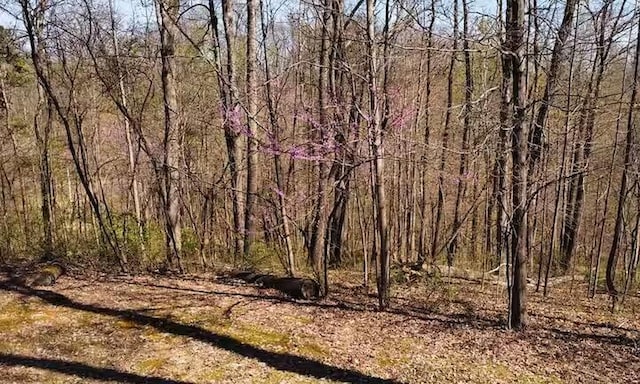 22916 Sams Creek Rd, Laurelville, OH 43135 - photo 40