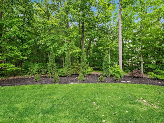 2655 Aikin Cir S, Lewis Center, OH 43035 - view of grassy yard