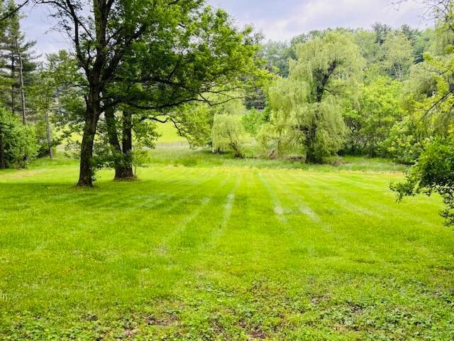 91 Bridle Path Ln, Granville, OH 43023 - view of green lawn