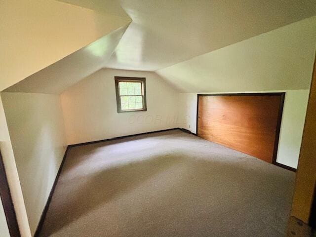91 Bridle Path Ln, Granville, OH 43023 - additional living space with lofted ceiling and carpet flooring