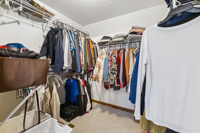 17994 Claypool Rd SE, Newark, OH 43056 - spacious closet with carpet flooring