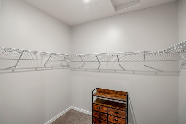 1002 Leslie Dr, Plain City, OH 43064 - spacious closet featuring carpet floors